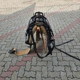 Basto per muli e cavalli