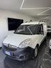 opel-combo-1-6-cdti-120cv-ecoflex-pc-ta-van-1000k