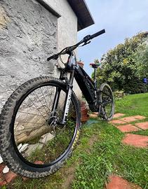 Ebike