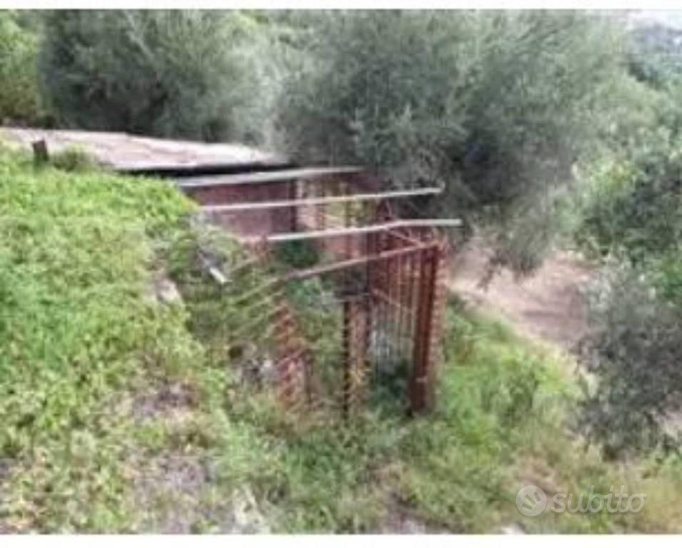 Immobile in asta di 400 m² a Ficarra - Vista 5