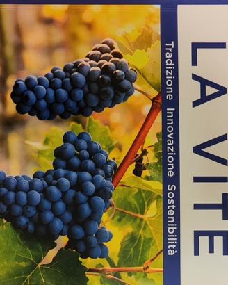 Coltivare la Vite
