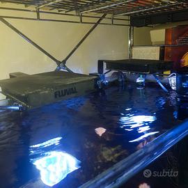 Acquario Askoll Pure (allestimento nano marino)