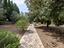Immagine 18