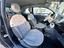 Immagine 12