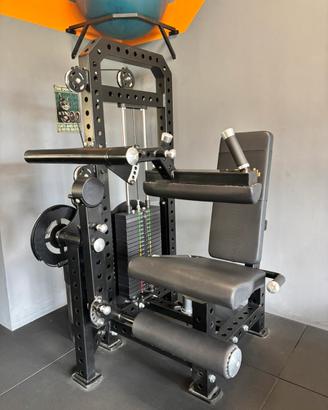 LEG EXT CURL 2in1