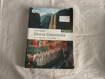 Divina commedia - purgatorio