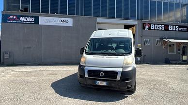 Minibus usato Fiat Ducato trasporto disabili