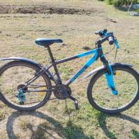 bicicletta