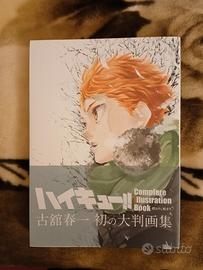 Haikyuu complete Illustration Book