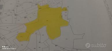 Vendita terreno edificabile