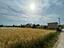 Immagine 16