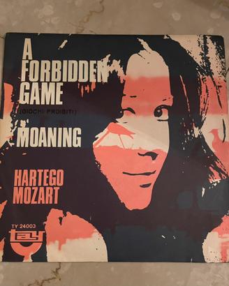 RARO 45 GIRI  FORBIDDEN GAME