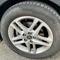 Gomme estive Continental