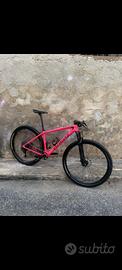 Bici Specialized