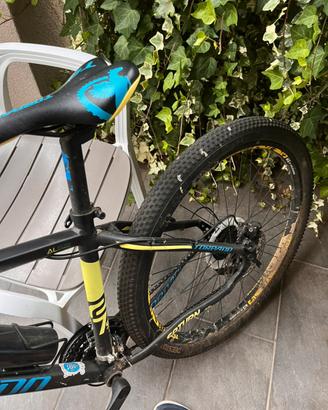 Bici Torpado MB