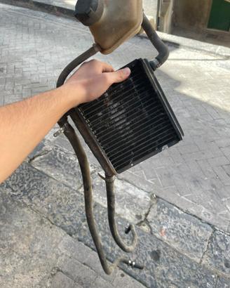 Radiatore piaggio 50