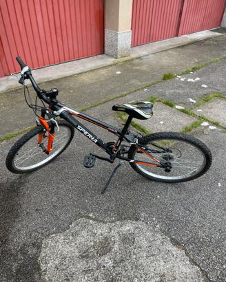 MOUNTAIN BIKE ESPERIA