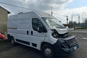 Fiat Ducato  -  2020