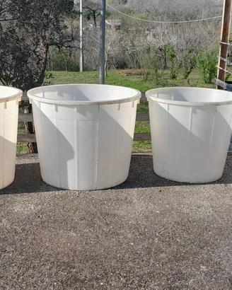 Botti in Plastica per Vendemmia