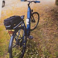 bici elettrica