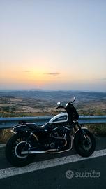 Harley Davidson Roadster