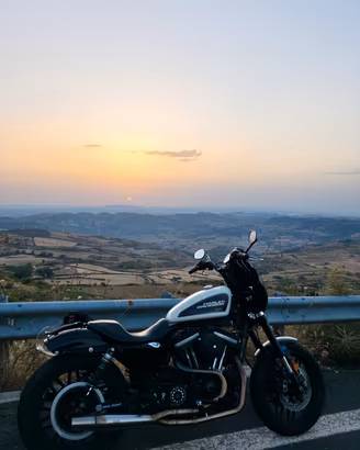Harley Davidson Roadster