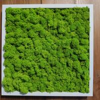 STUPENDA IDEA NATALE