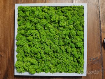 STUPENDA IDEA NATALE