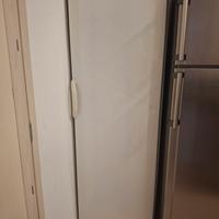 congelatore argo a colonna