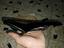 Immagine 3