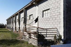 Immobile in asta di 453 m² a San Giorgio della Ric