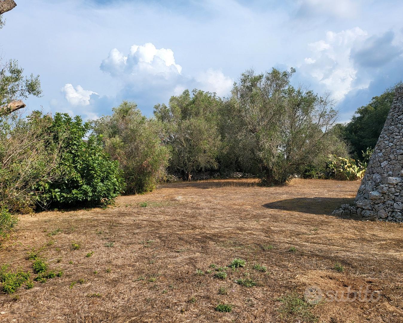 Terreno agricolo Calimera (LE) - Vista 3