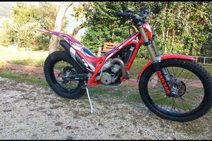 gas gas trial 300 2019