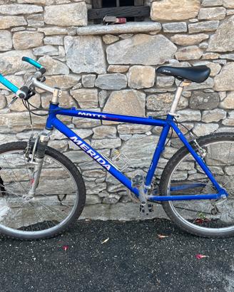 Bici montbike Melida