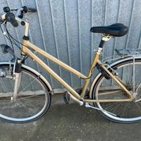 Bici city bike da donna ruota larga