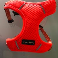 Pettorina per cani piccoli