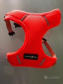 Pettorina per cani piccoli