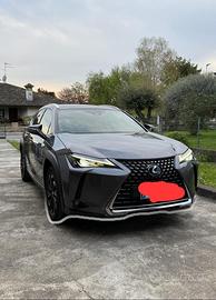 Lexus UX 250 Premium 4WD