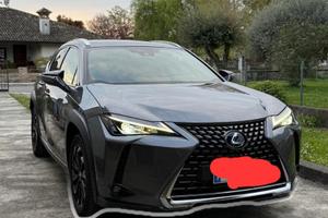 Lexus UX 250 Premium 4WD