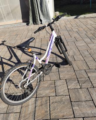 bici olmo 