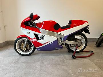 Bimota yb6 ex-up valuto permute