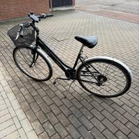 BICICLETTA BICI MTB TURISMO CAMBIO SHIMANO ROBUSTA