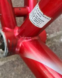 Colnago master titanio.