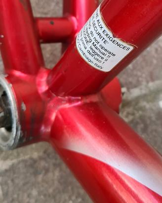 Colnago master titanio.