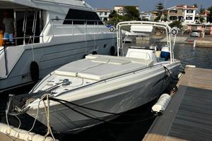 Scarab 30