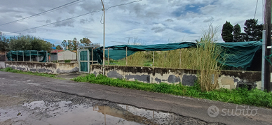 Terreno agricolo vaccarizzo TRATTABILE