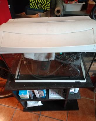acquario con mobile