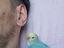 Immagine 4
