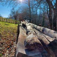 travi legno tronchi tetto