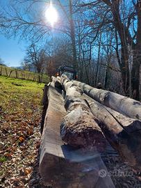 travi legno tronchi tetto